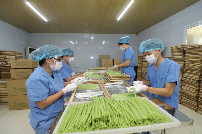 Huyện Đông Anh, Hà Nội – Sản phẩm tiềm năng 5 sao: Biến rau củ quả thành ống hút thân thiện với môi trường