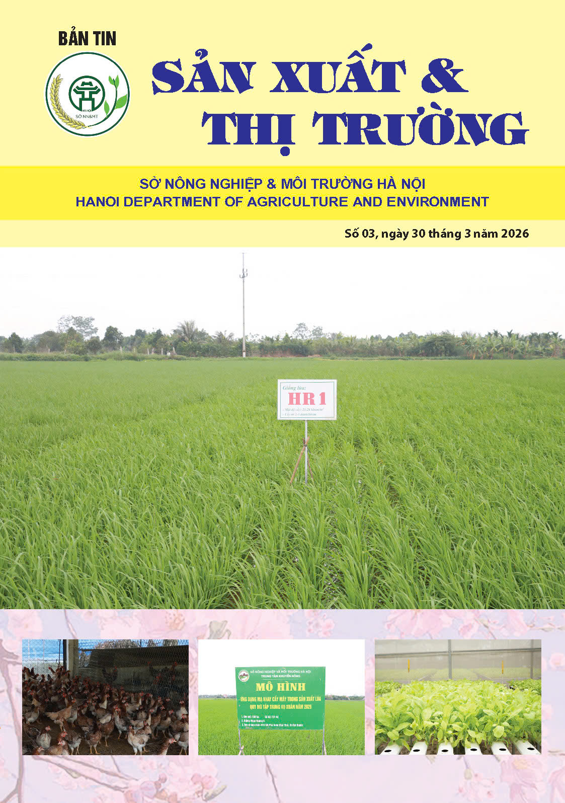 Bản tin Sản xuất & Thị trường số 03 năm 2026