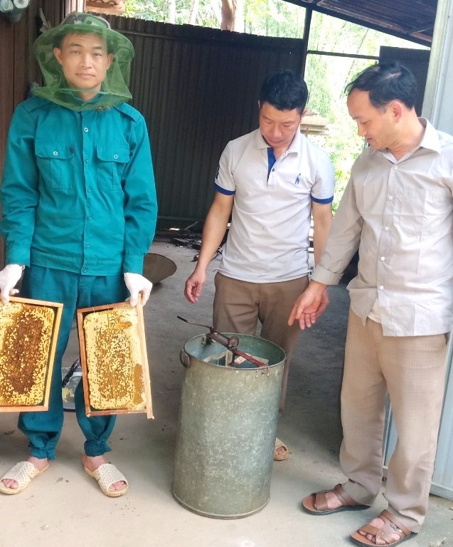 Tuyên Quang: Nâng cao thu nhập nhờ nuôi ong mật