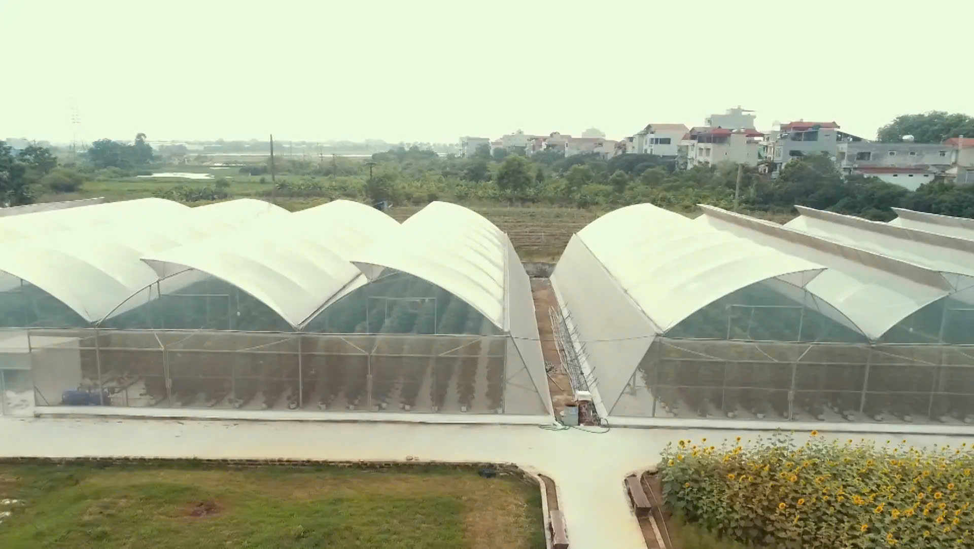 Xã Thường Tín xây dựng thương hiệu nông sản chất lượng cao