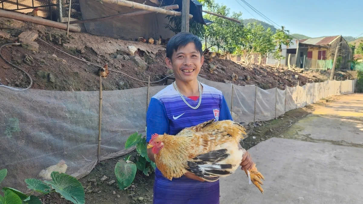 Quảng Ninh: Chăn nuôi gà Tiên Yên, nhiều hộ thoát nghèo bền vững