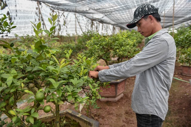 Hưng Yên: Hóng chuyện ở chợ, 7 năm sau anh nông dân đã thành tỷ phú