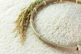 Nguồn cung gạo thế giới dự báo tăng trưởng chậm nhất trong 13 năm