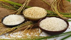 Philippines tìm nguồn nhập khẩu 300.000 tấn gạo