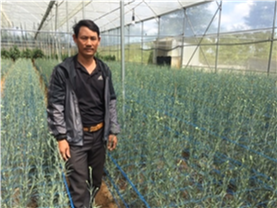 Lộc An: Bước đầu phát triển nông nghiệp ứng dụng công nghệ cao