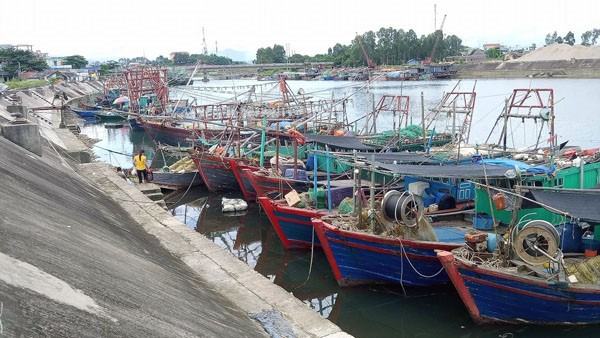 Quảng Ninh đẩy mạnh công tác chống khai thác hải sản bất hợp pháp