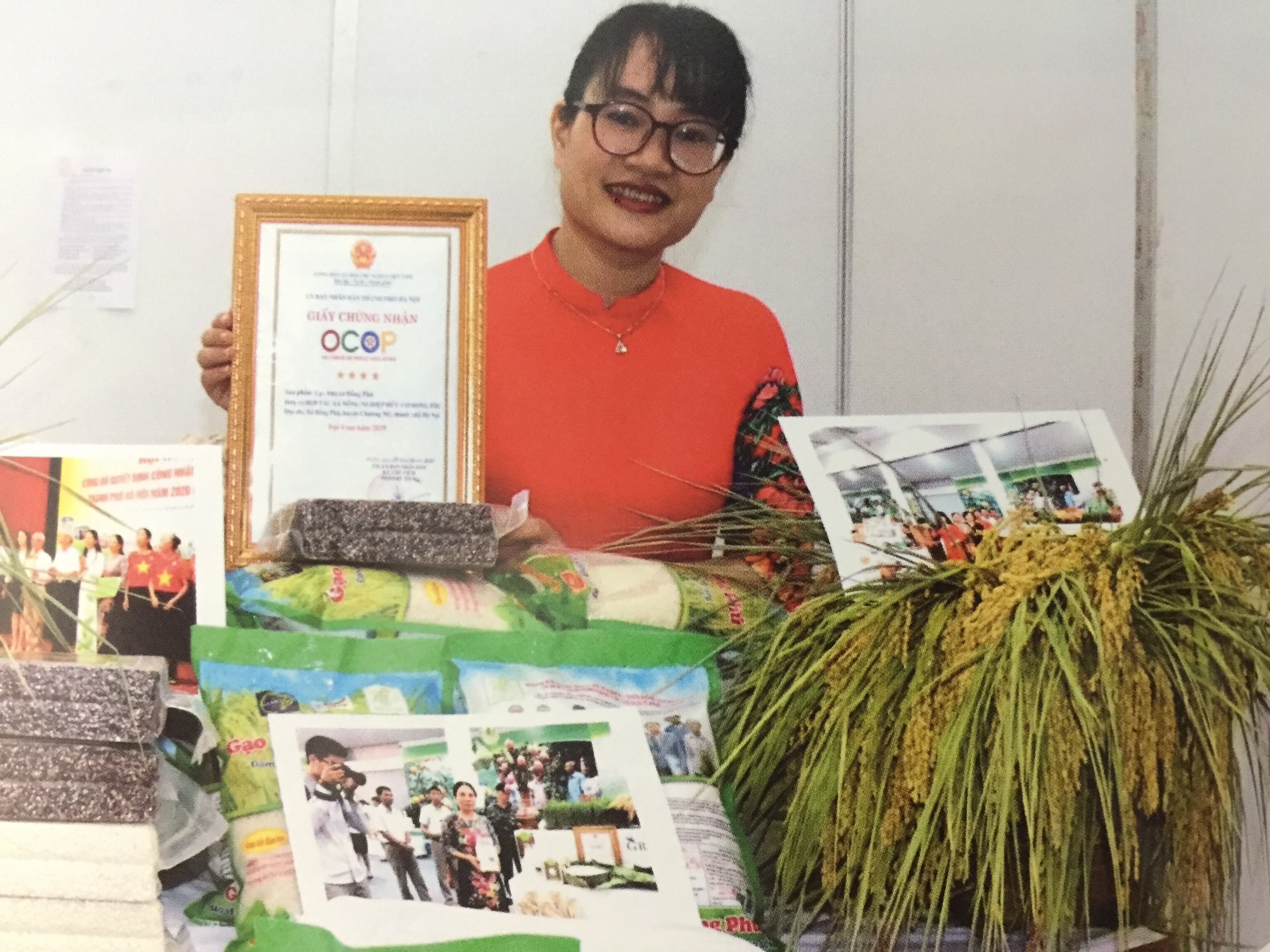 Gạo hữu cơ Đồng Phú: Sản phẩm OCOP 4 sao