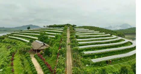 Lào Cai: Nhiều hợp tác xã chuyển mình theo hướng xanh