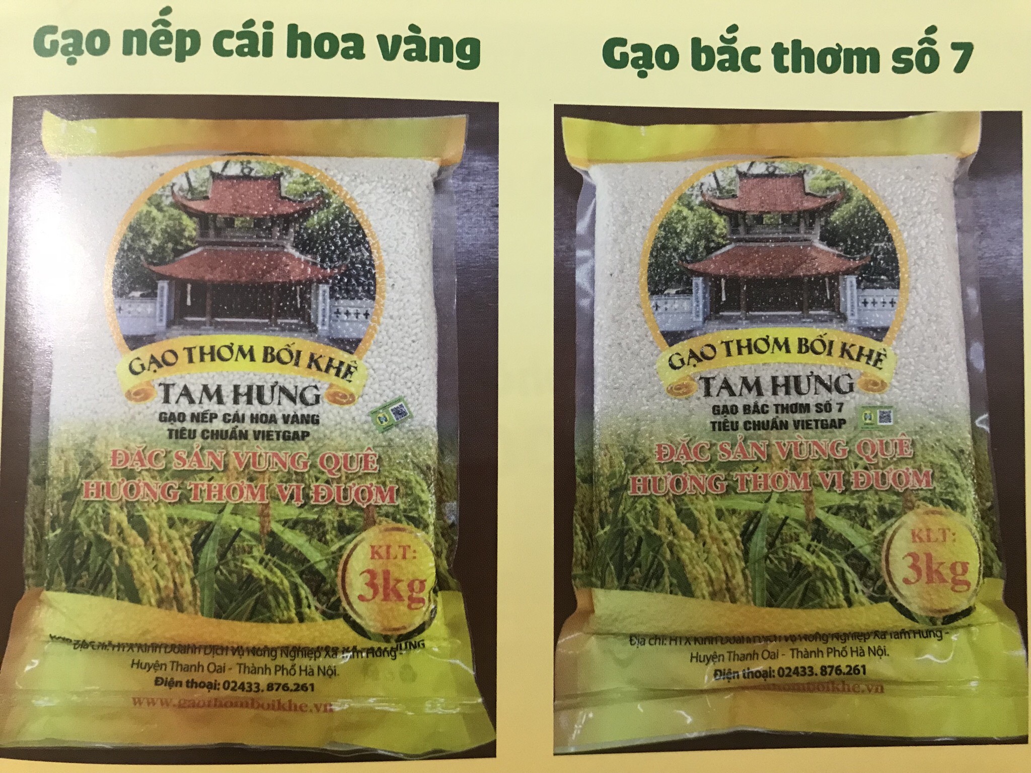 HTX Nông nghiệp Tam Hưng: 2 sản phẩm đạt OCOP 4 sao