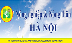 Nông nghiệp và nông thôn Hà Nội