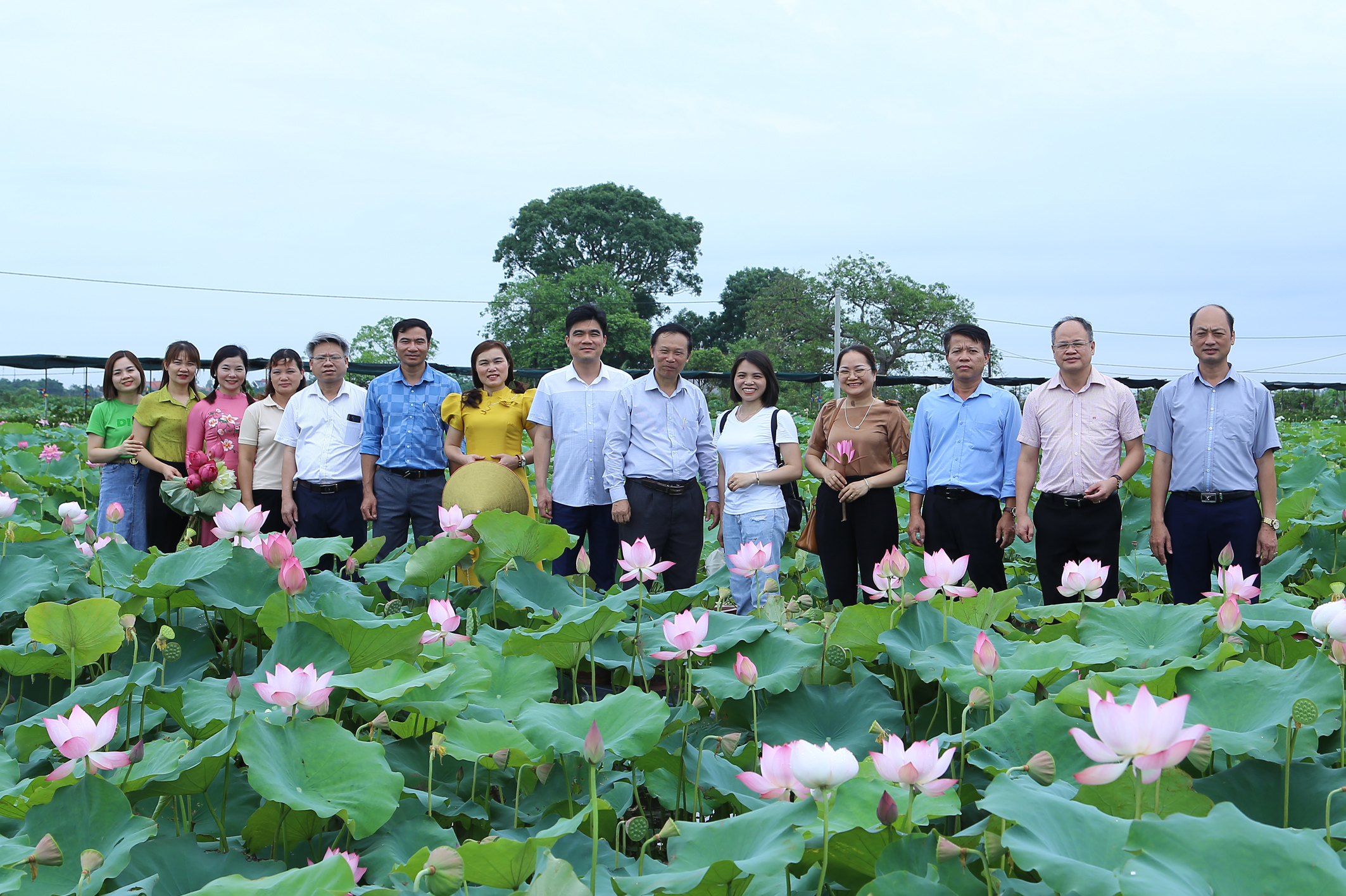 Đoàn công tác Trung tâm Khuyến nông Hà Nội thăm quan, học tập tại HTX hoa sen Vân Đài