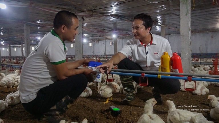 Thái Nguyên: Nuôi gà theo phương pháp an toàn sinh học kết hợp tự động hóa đem lại hiệu quả kinh tế cao
