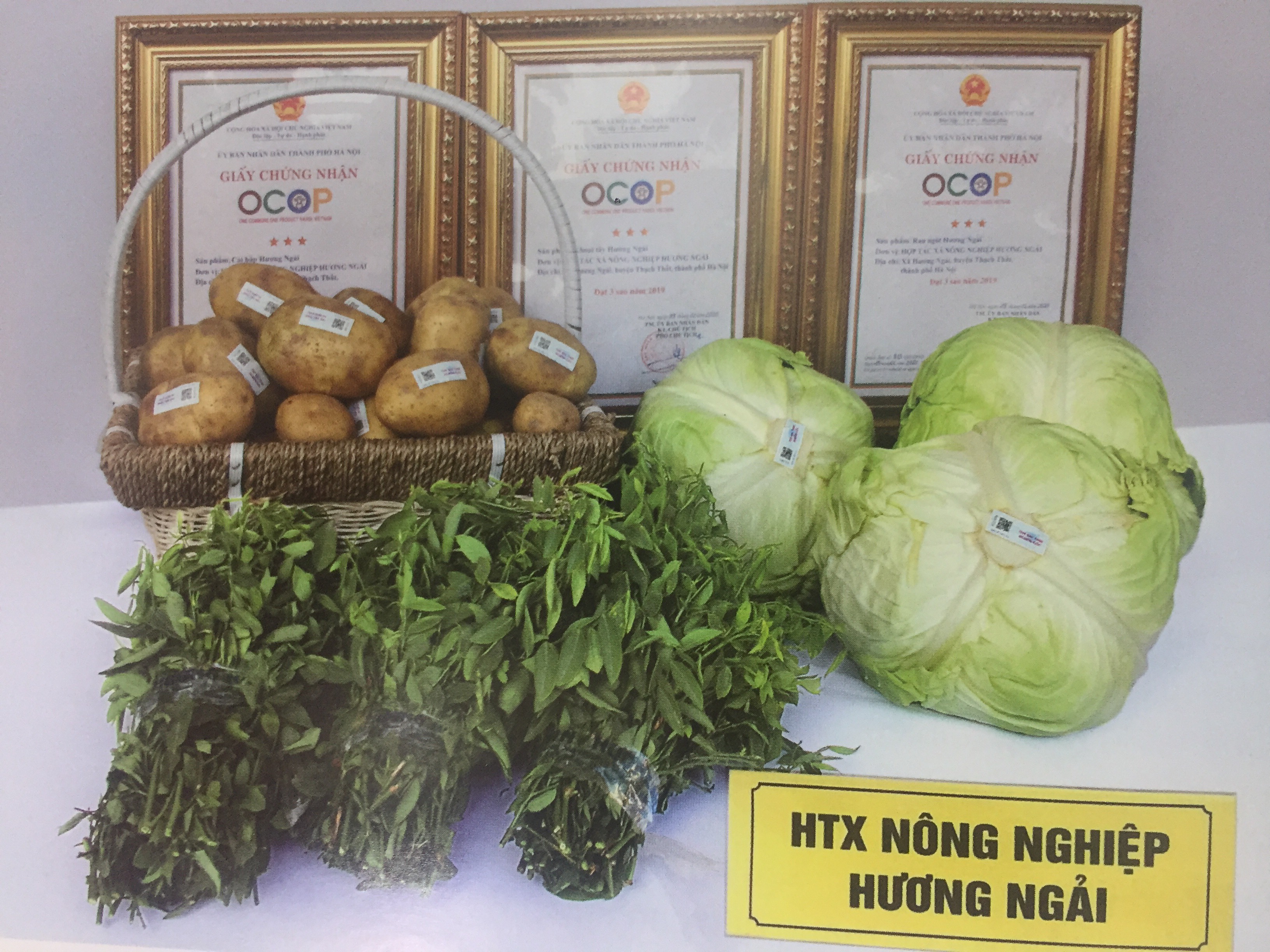 Hợp tác xã Nông nghiệp Hương Ngải có 3 sản phẩm OCOP 3 sao