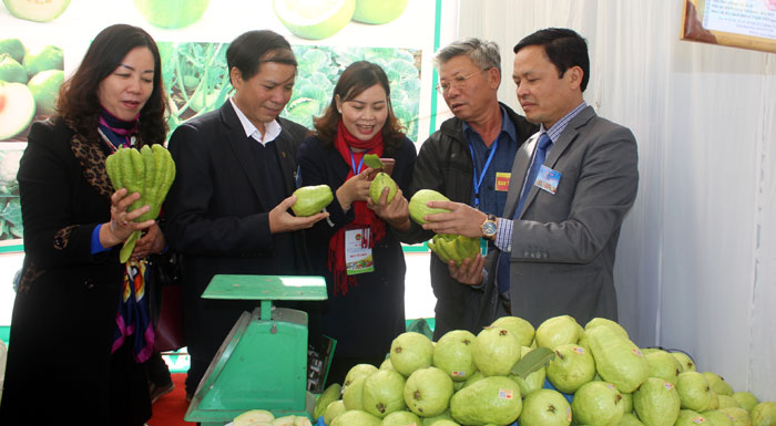 Hợp tác xã Dịch vụ nông nghiệp Việt Doanh: Sản xuất an toàn không lo đầu ra