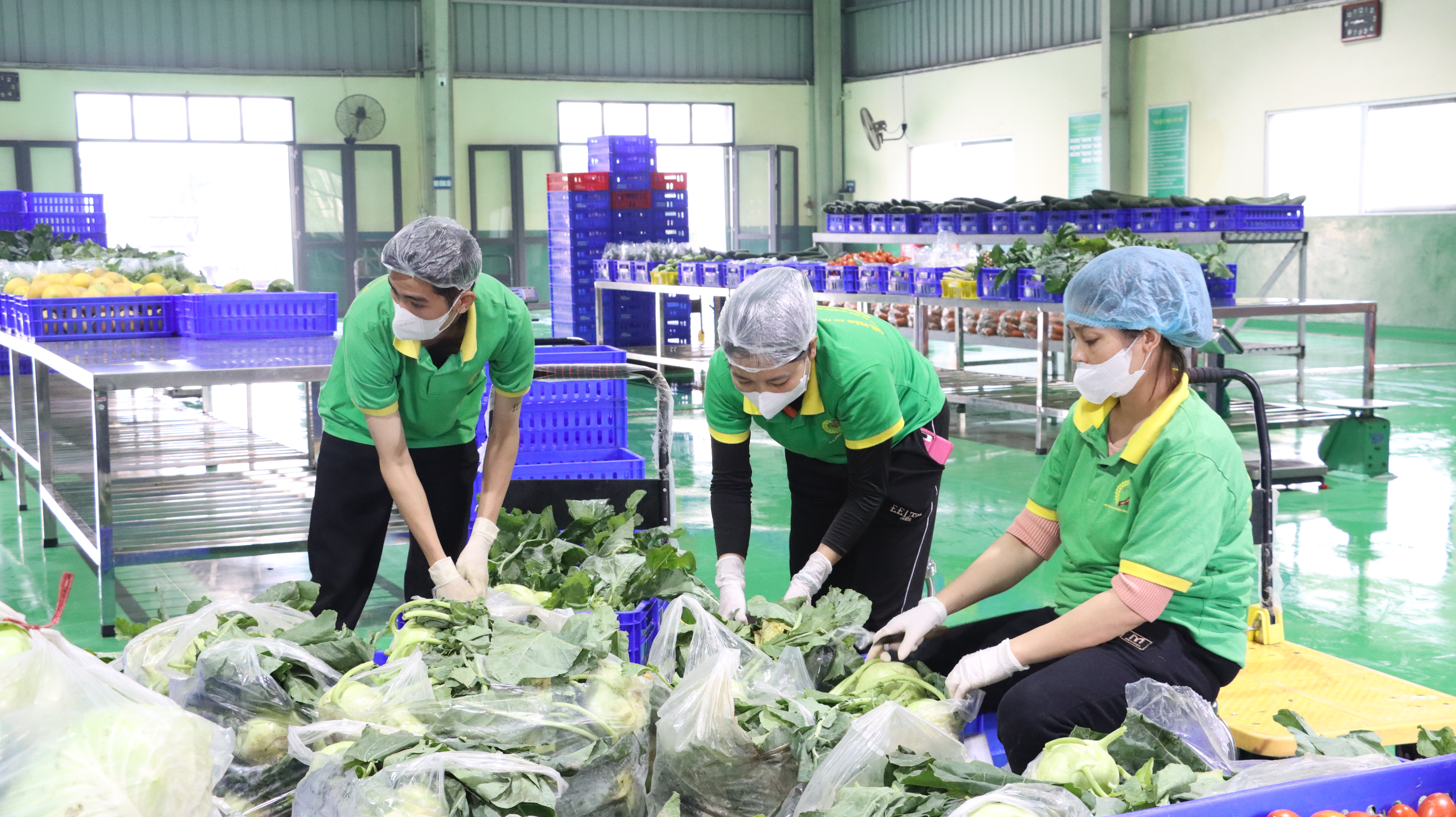 Phát động phong trào thi đua “an toàn thực phẩm” giai đoạn 2026 - 2030
