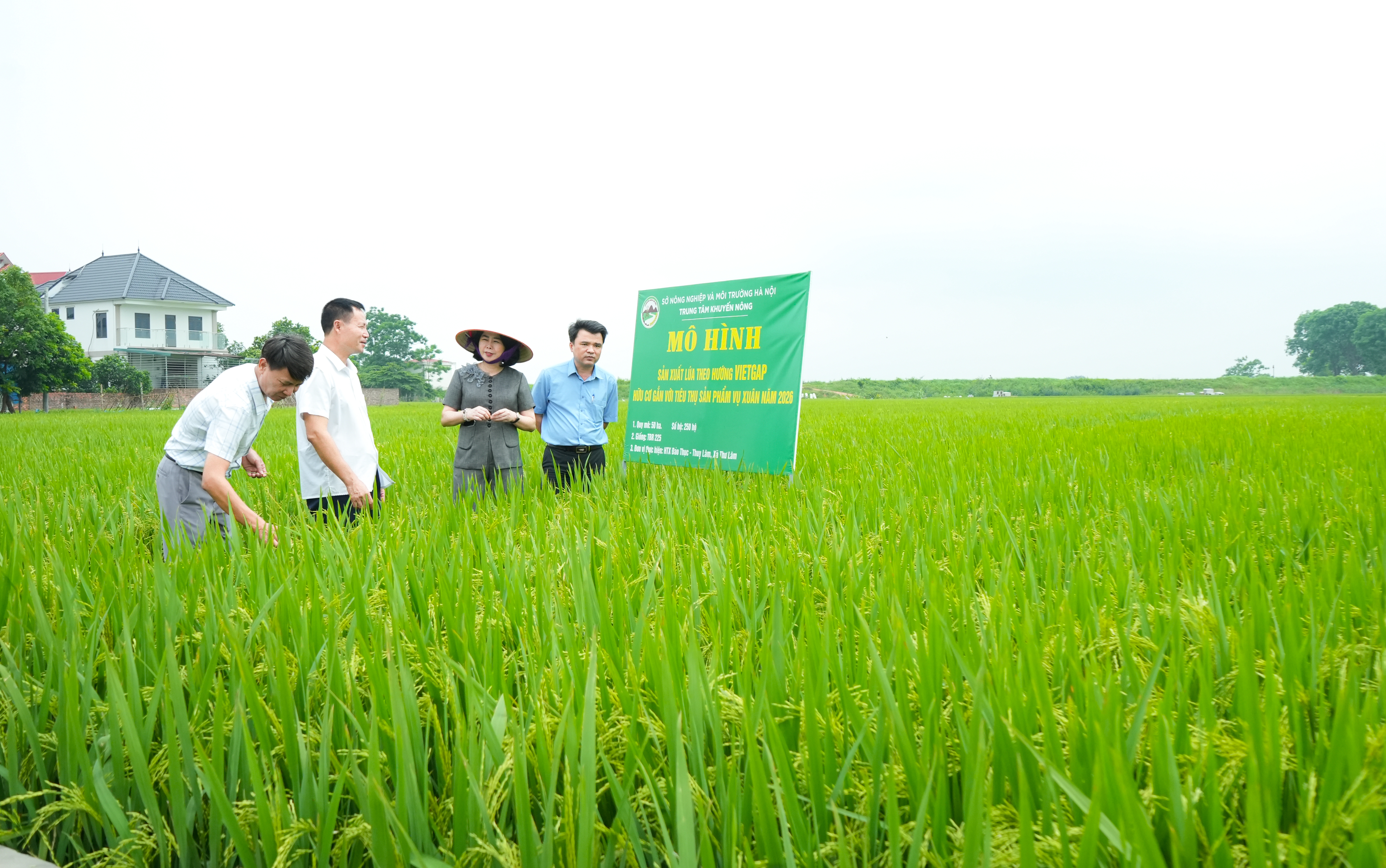 Lãnh đạo Trung tâm Khuyến nông Hà Nội kiểm tra đánh giá các mô hình sản xuất lĩnh vực Khuyến nông trồng trọt.