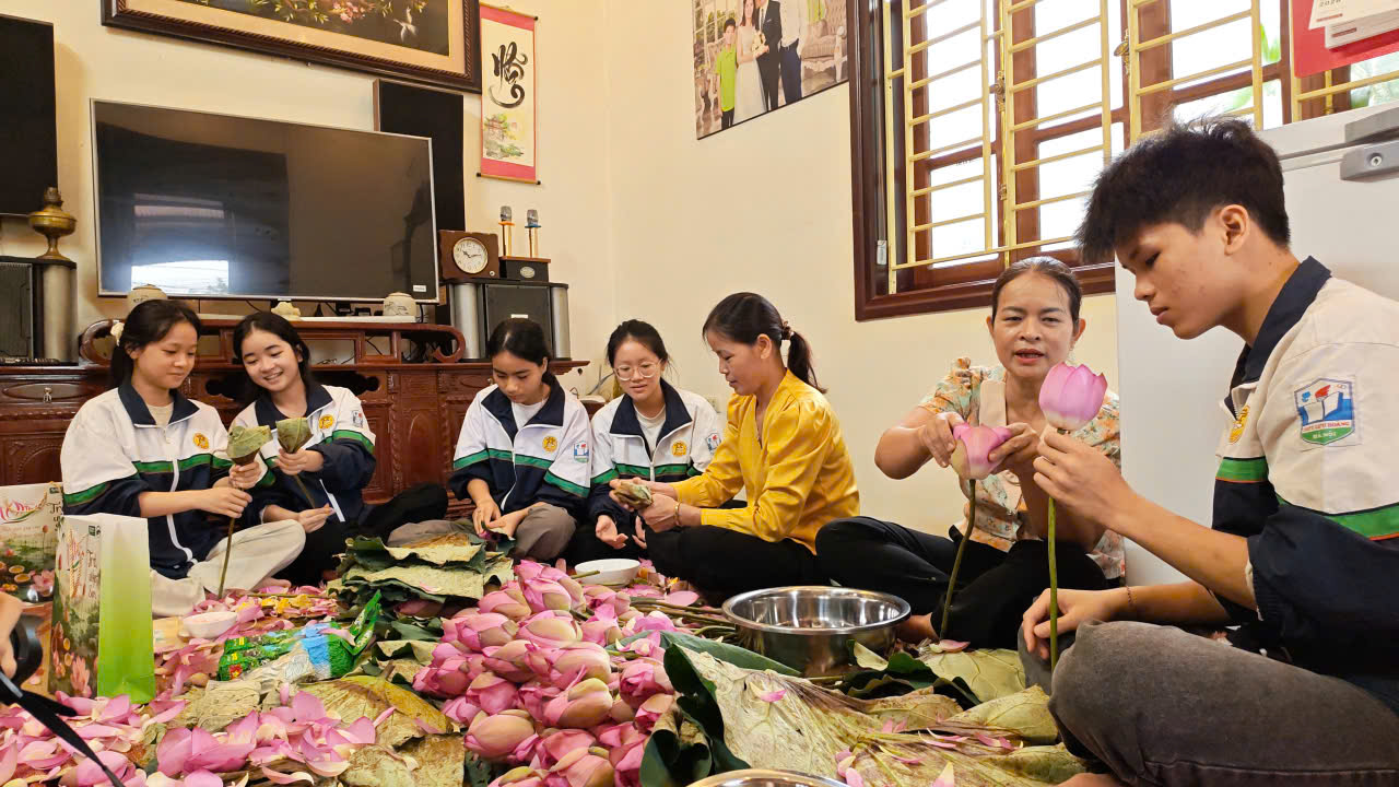 Từ đất ruộng hoang hóa đến vùng sen bách diệp cho giá trị cao