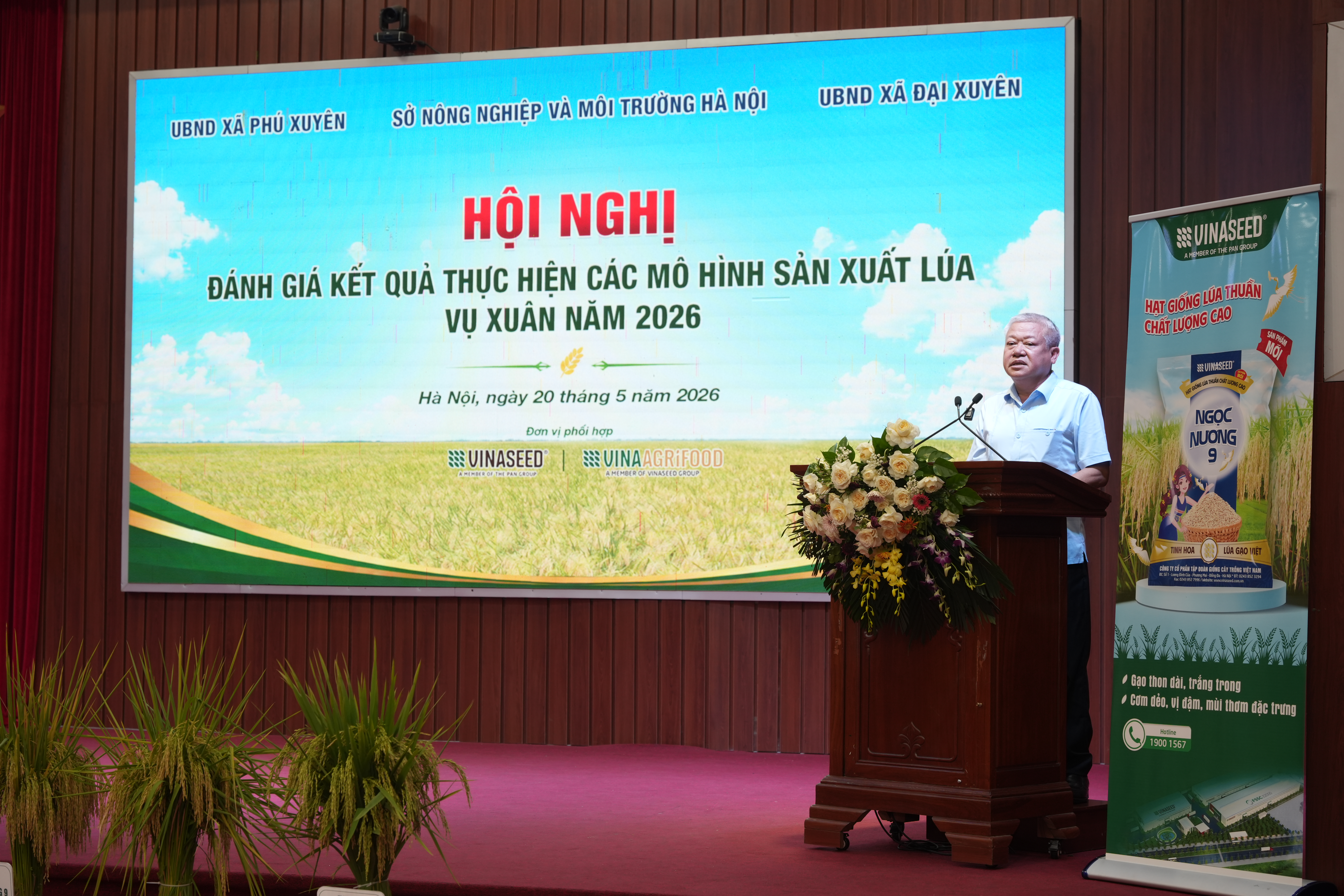 Hà nội xây dựng vùng sản xuất lúa tập trung, chất lượng cao
