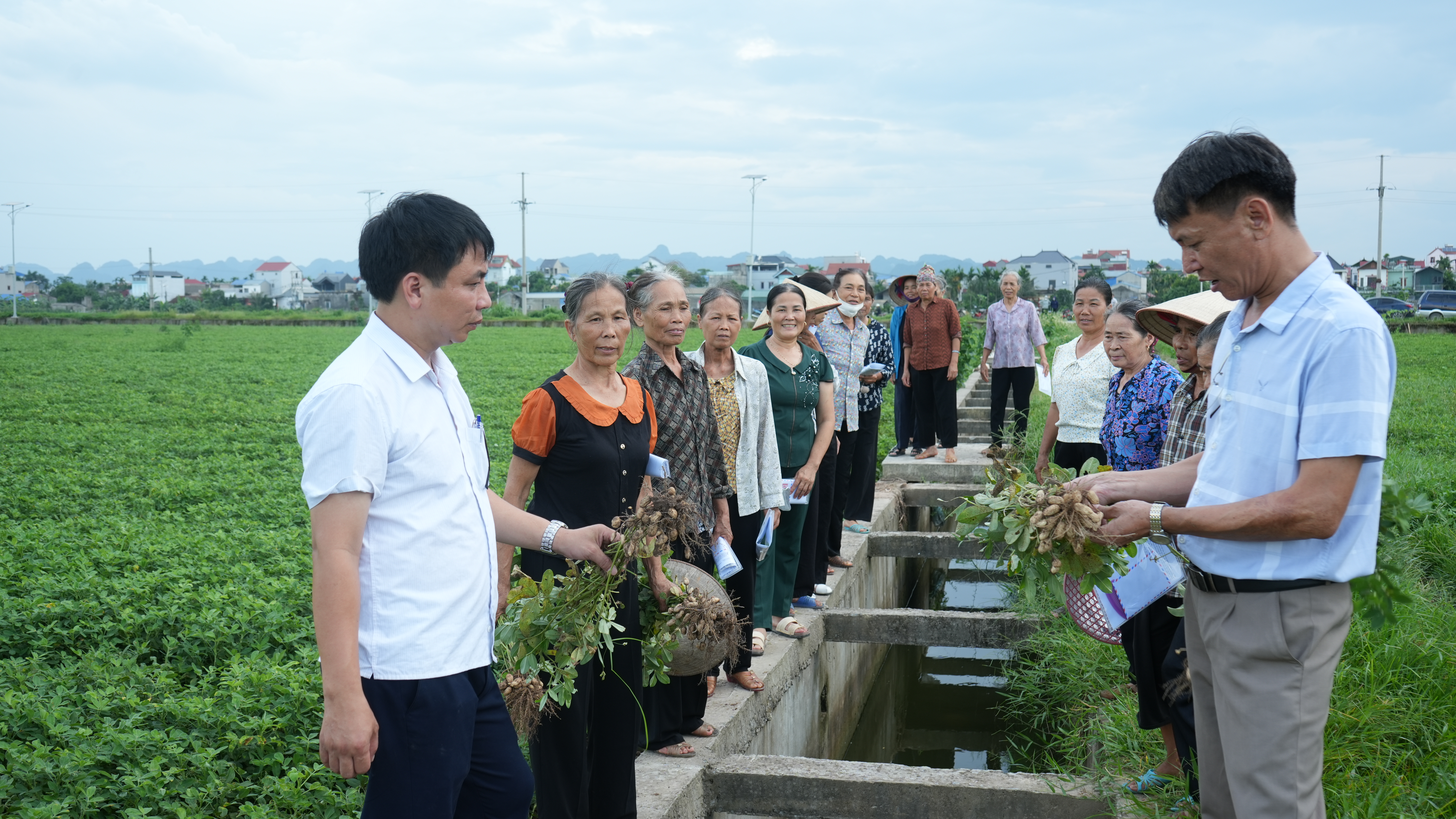 Hiệu quả mô hình khuyến nông “sản xuất cây trồng giống mới (cây lạc) thích ứng với biến đổi khí hậu và bảo vệ môi trường, phù hợp với nhu cầu thị trường năm 2026”