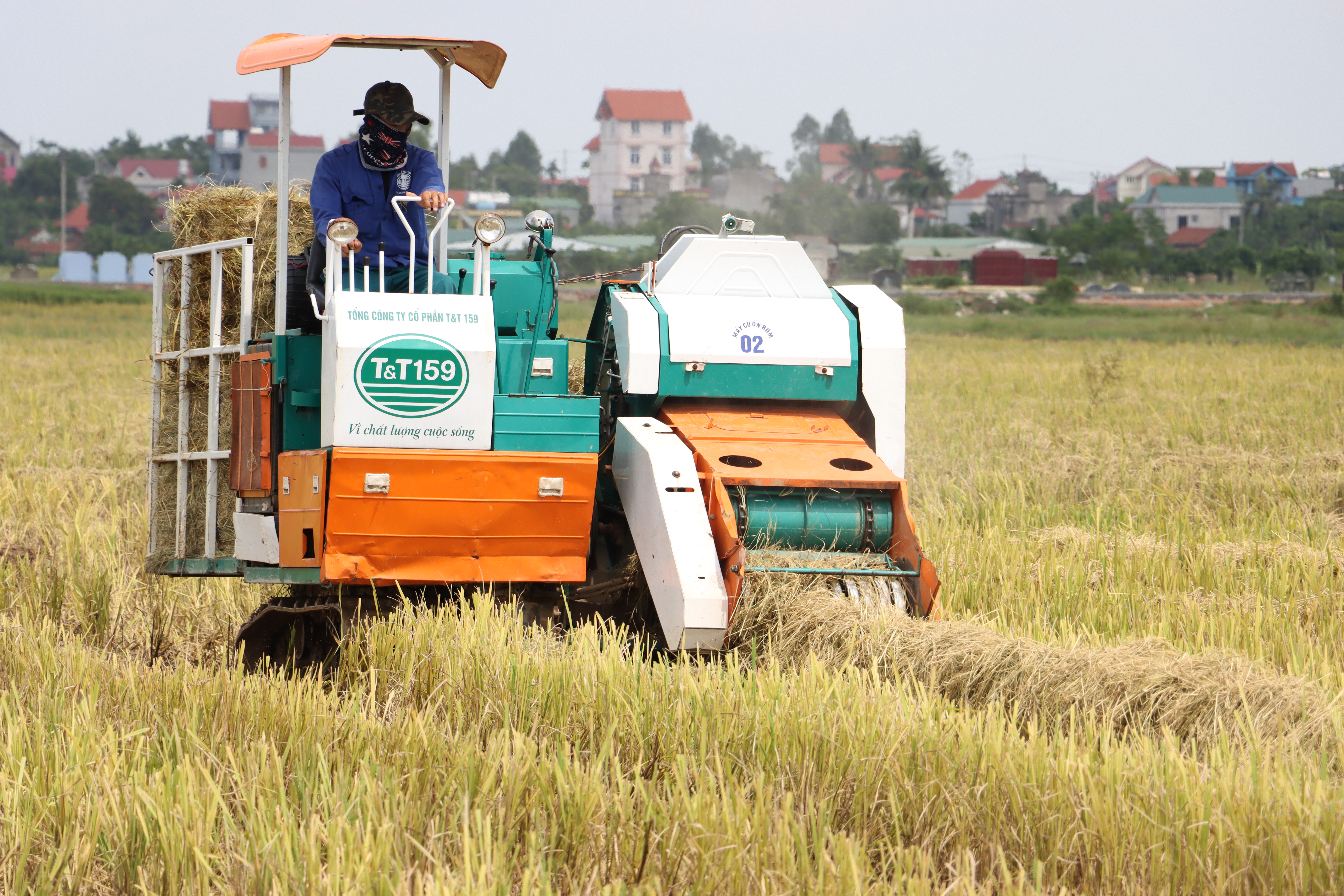 Hỗ trợ bảo vệ môi trường trong sản xuất nông nghiệp