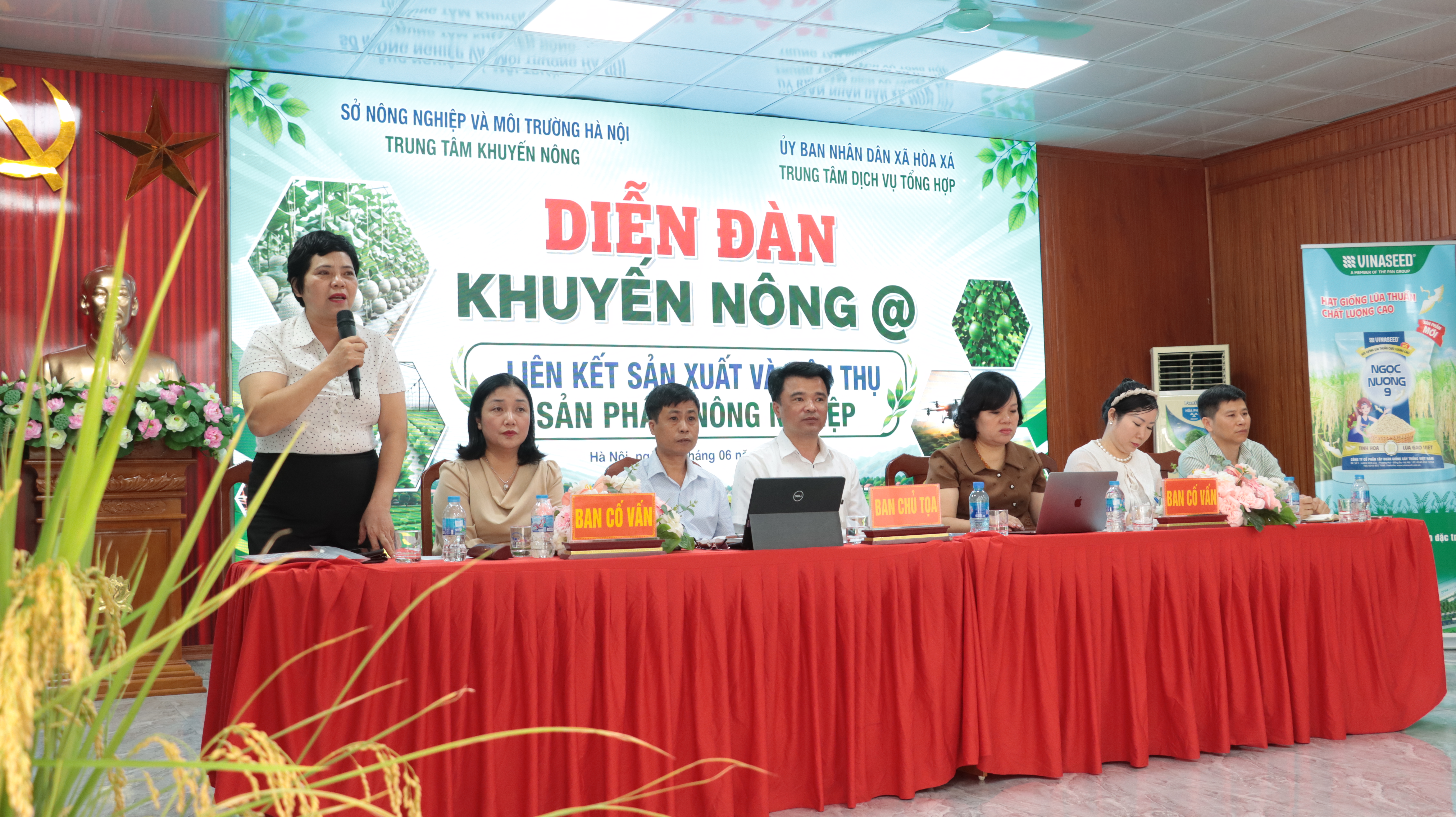 Đẩy mạnh liên kết sản xuất, tiêu thụ sản phẩm nông nghiệp Xã Hòa Xá