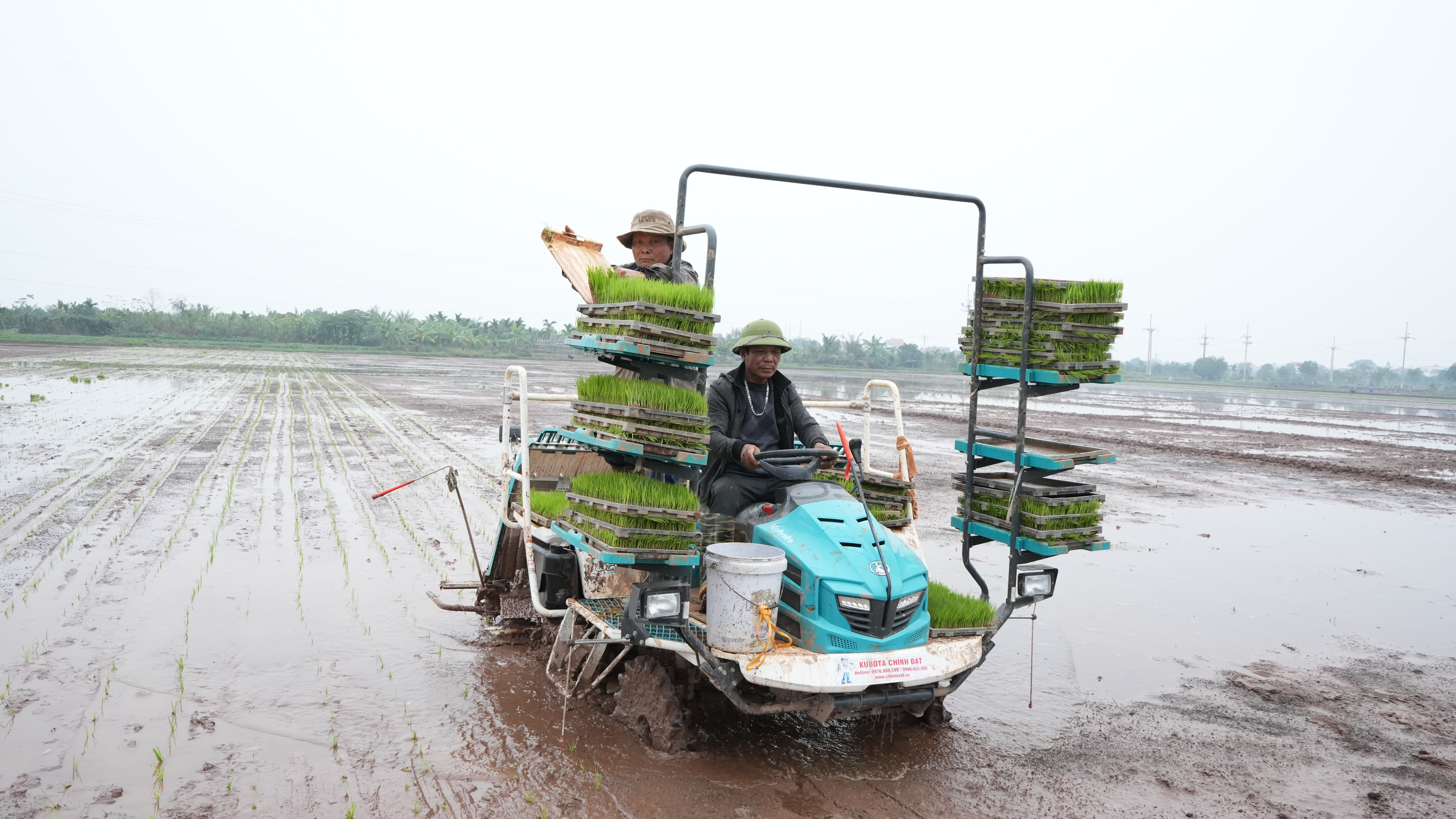 Đẩy nhanh tiến độ triển khai vụ mùa