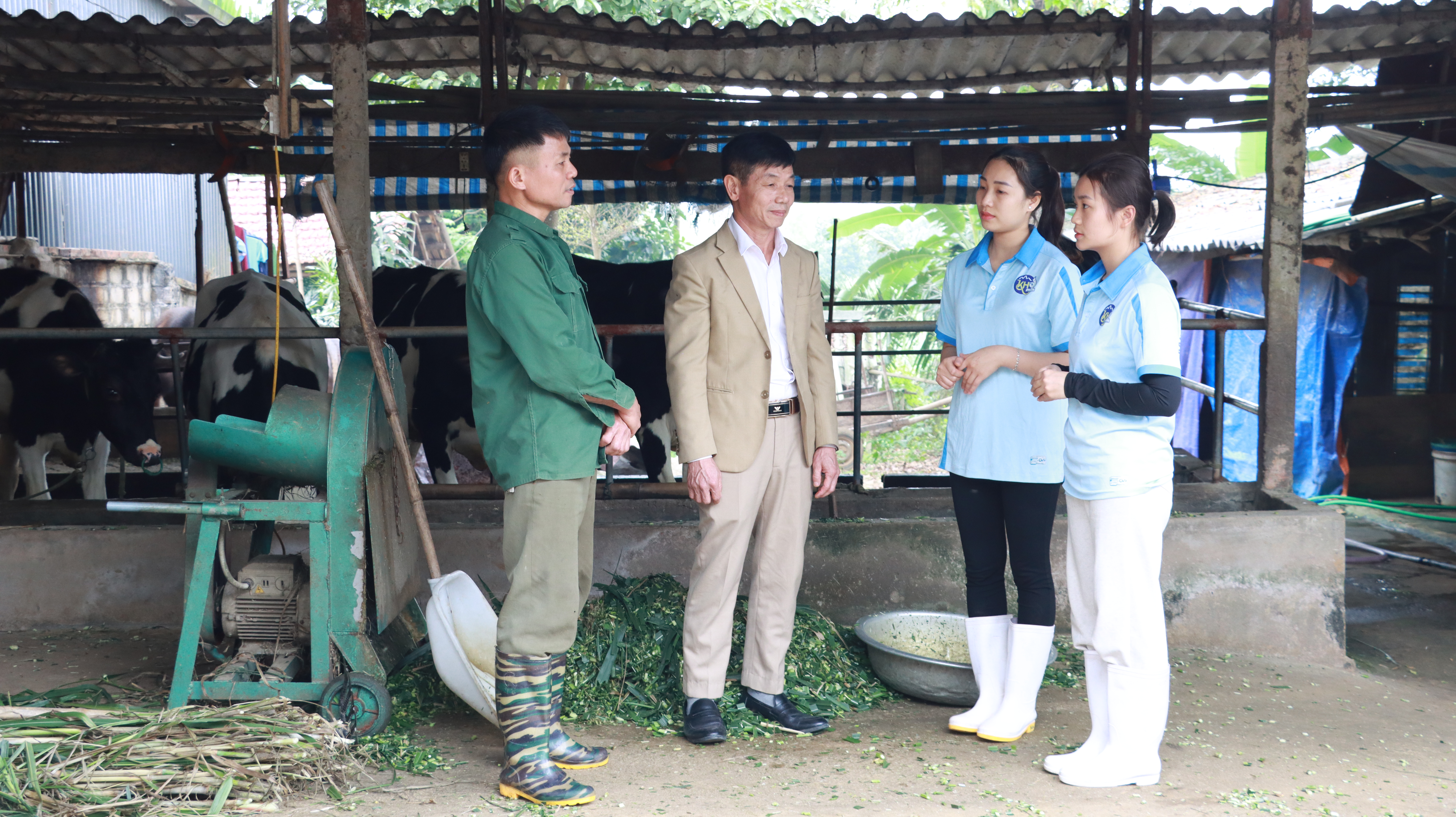 Hiệu quả mô hình liên kết theo chuỗi giá trị