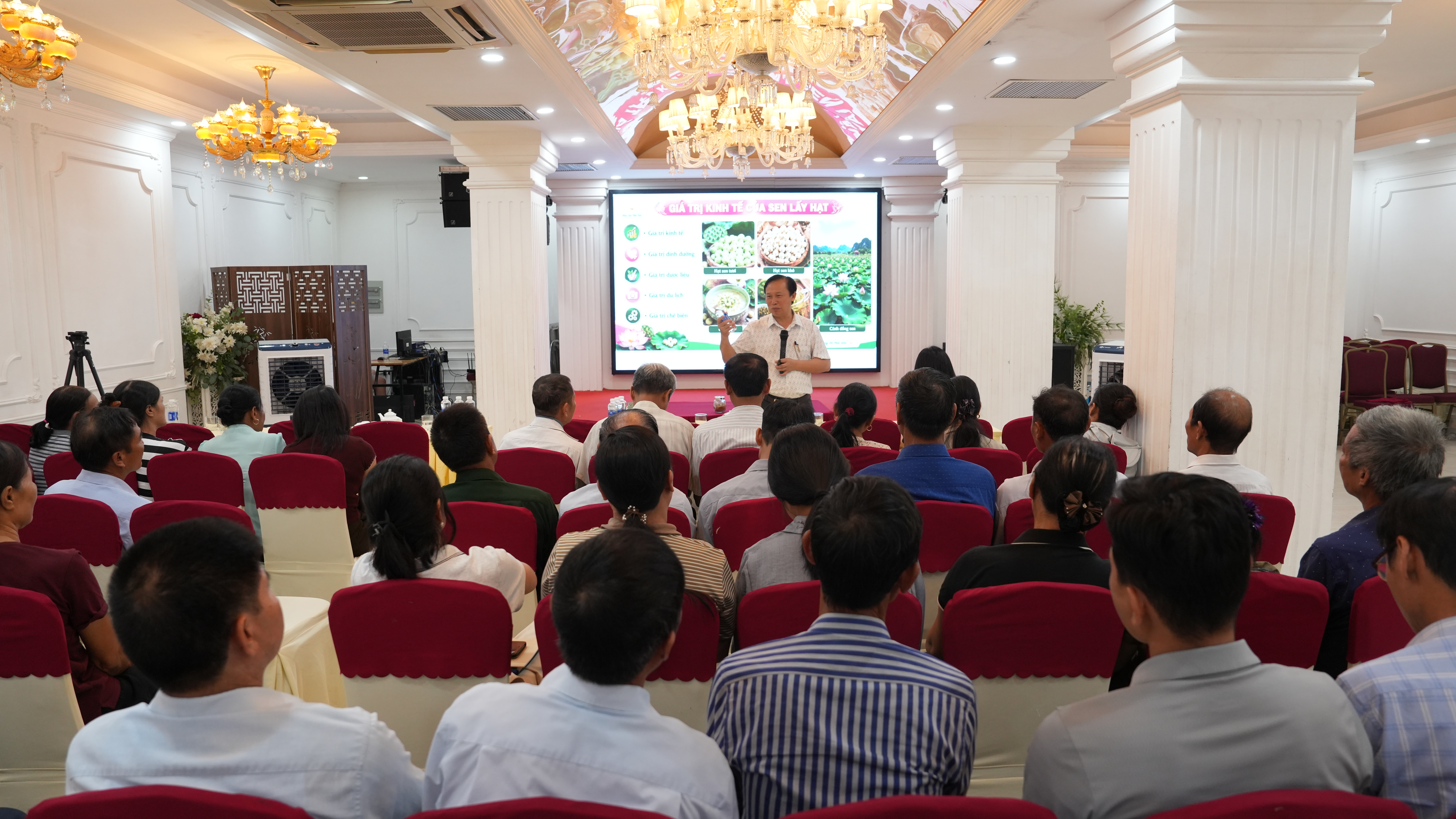 Phát triển mô hình trồng hoa sen gắn với du lịch sinh thái
