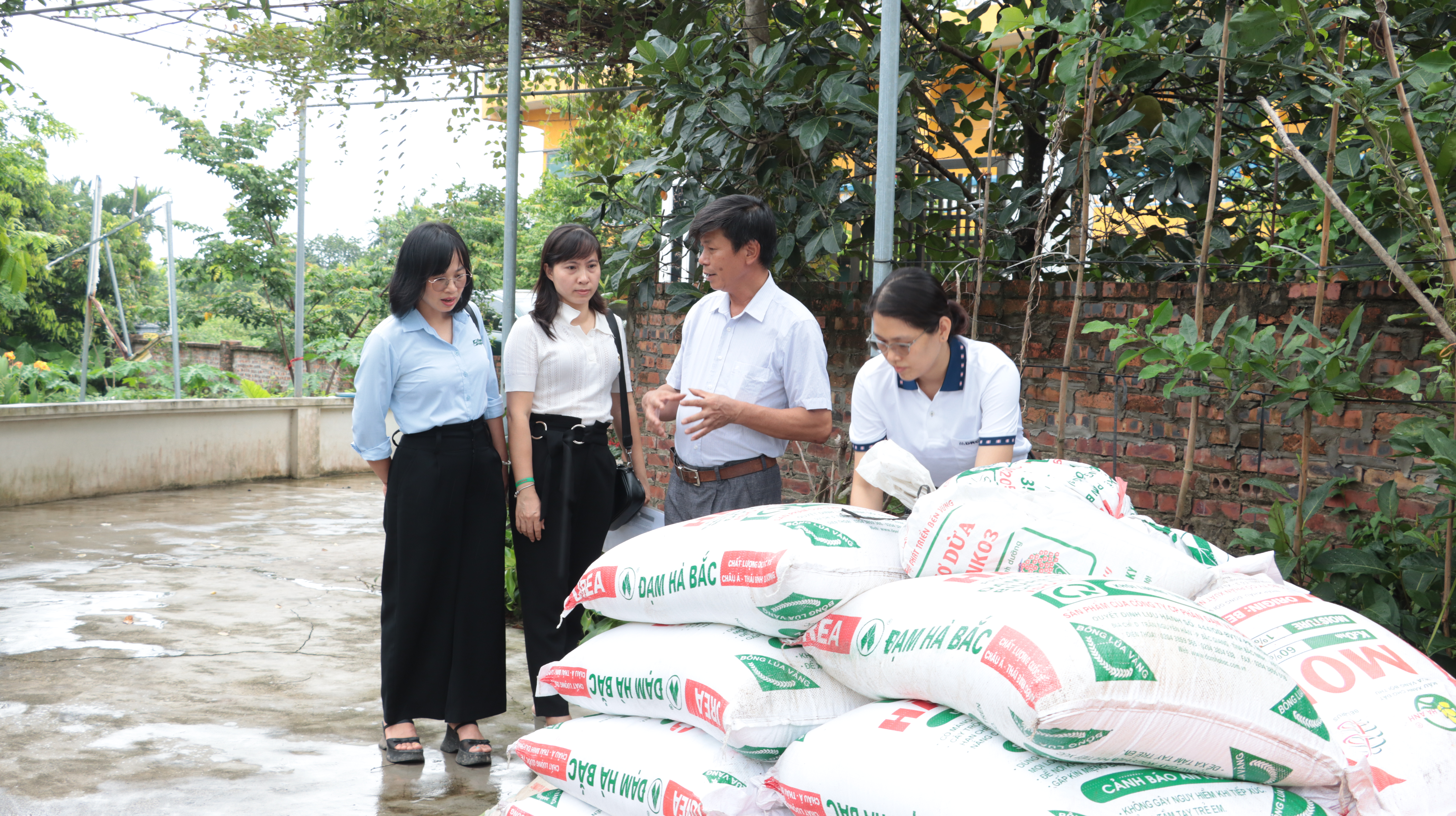 Hà Nội triển khai hiệu quả mô hình sản xuất hoa sen gắn với xây dựng nhãn hiệu và phát triển du lịch