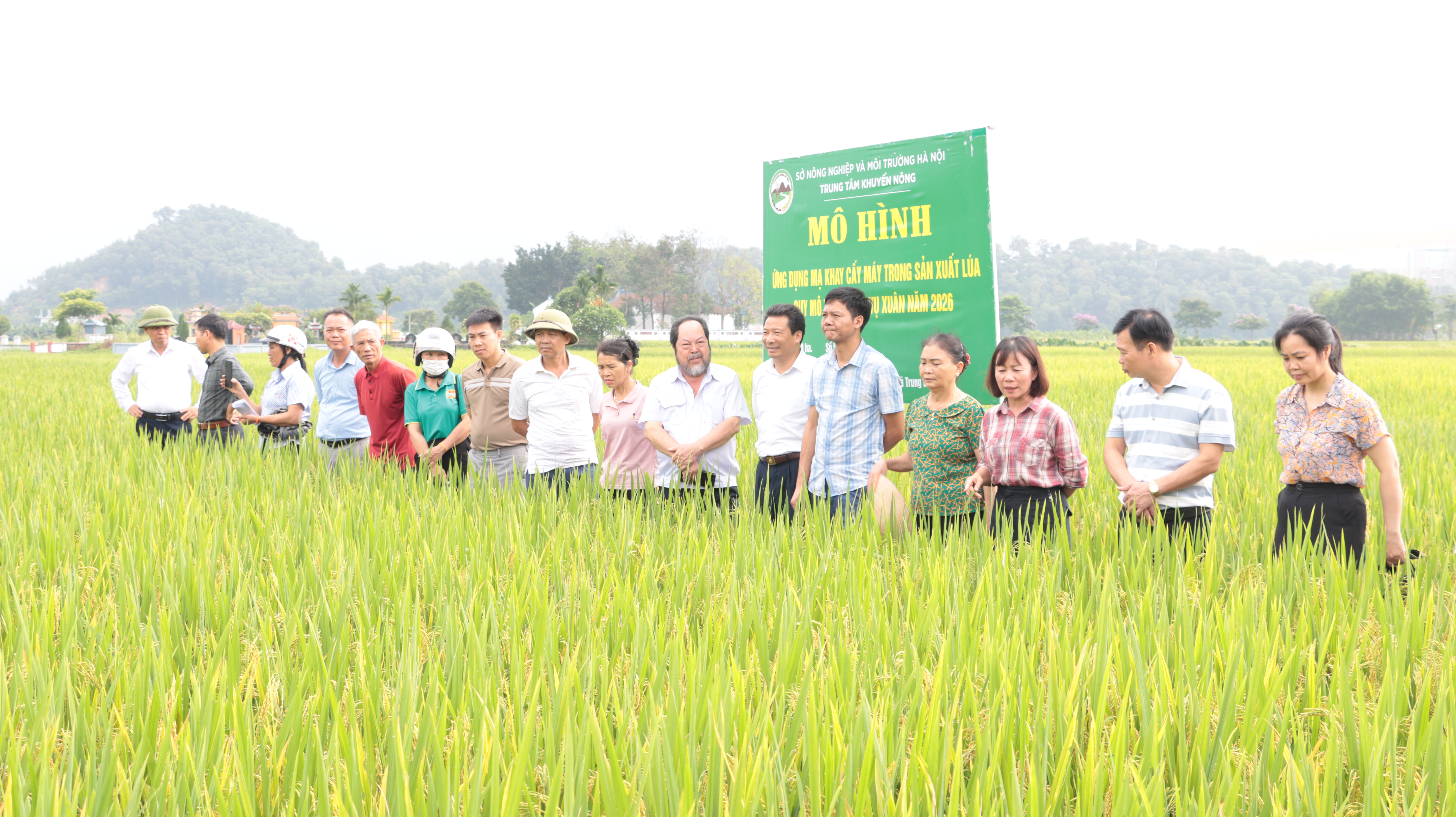Xã Trung Giã phát huy hiệu quả các hoạt động khuyến nông