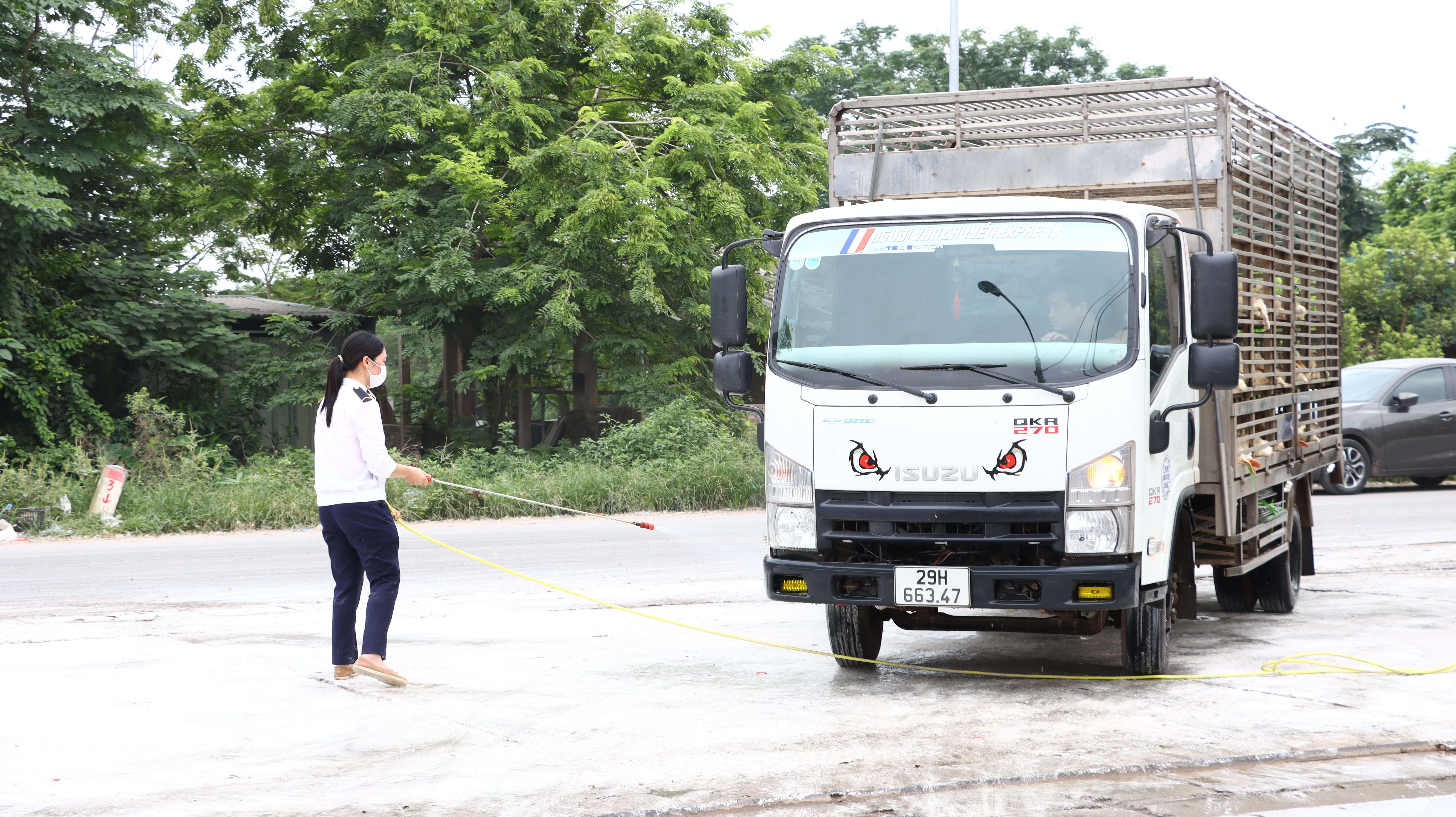 Các dấu hiệu nhận biết và biện pháp phòng, chống bệnh cúm gia cầm
