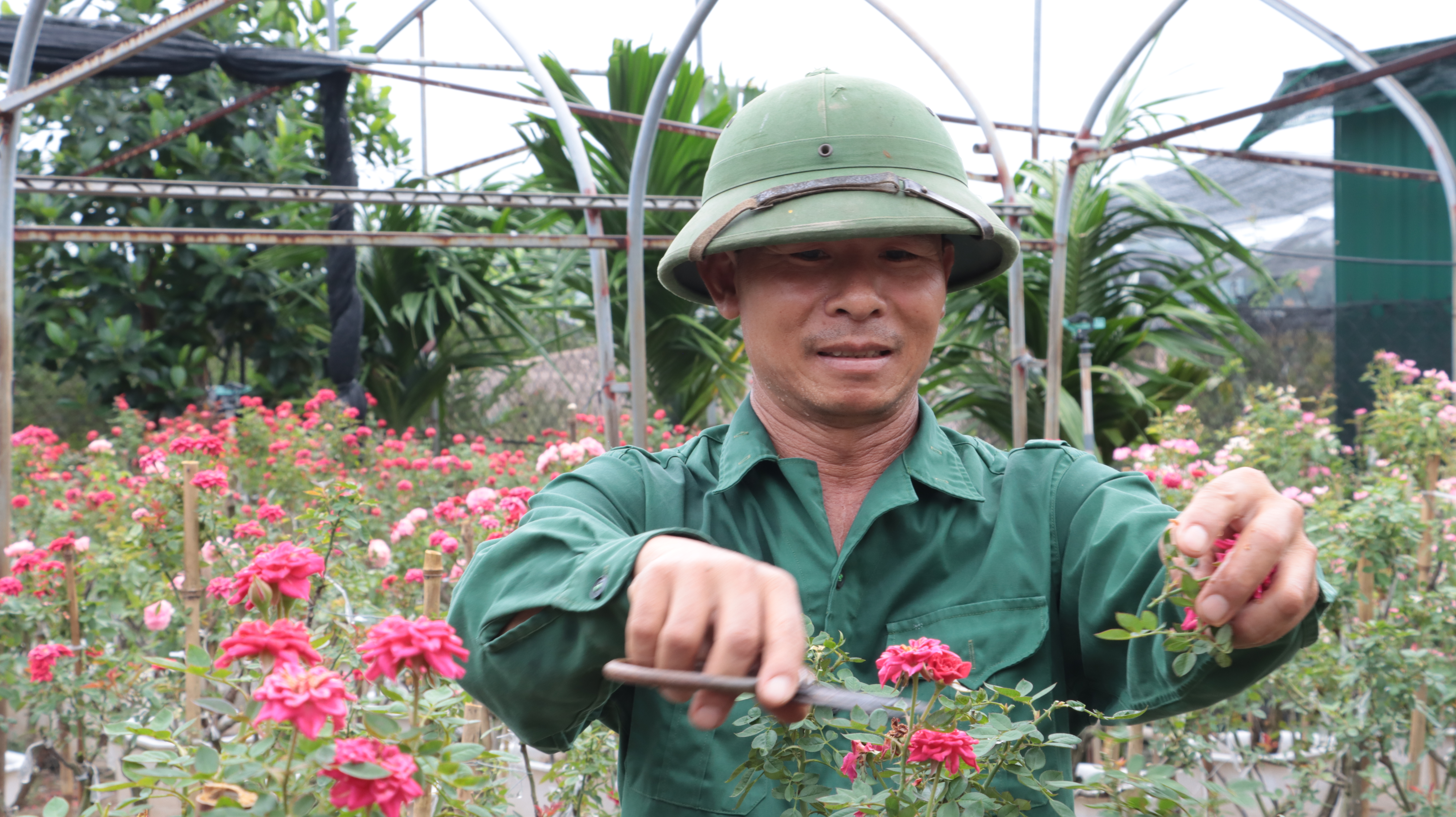 Xã Mê Linh tập trung nâng cao chất lượng và giá trị nông sản