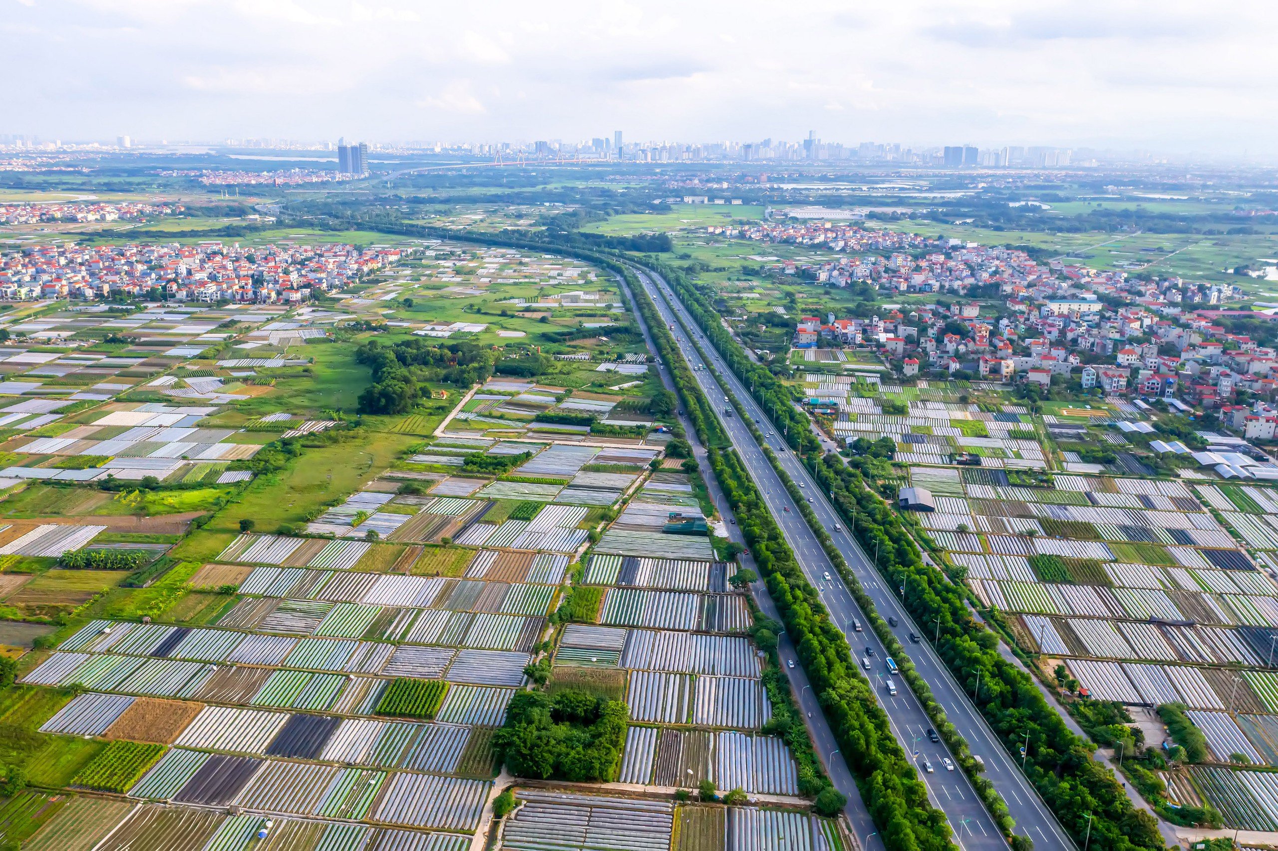 Hà Nội phấn đấu hoàn thành chiến dịch 45 ngày đẩy mạnh xây dựng cơ sở dữ liệu đất đai