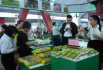 Giá cả các mặt hàng nông sản tại chợ thuộc xã Đan Phượng 18.9