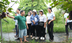 Ứng dụng công nghệ số trong hoạt động khuyến nông