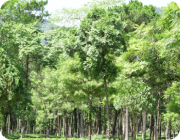Chuyển giao tiến bộ kỹ thuật cho nông dân ngoại thành