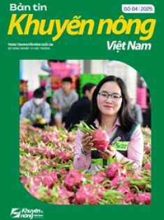 Bản tin Khuyến nông Việt Nam số 4 năm 2025
