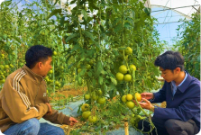 Phải tìm cách làm mới động lực cho ngành chăn nuôi