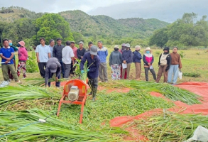 Kỹ thuật trồng cỏ và chế biến thức ăn cho gia súc