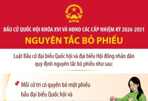 Nguyên tắc bỏ phiếu bầu đại biểu Quốc hội và HĐND