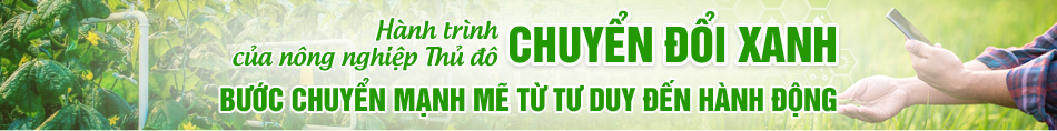 Hành trình chuyển đổi xanh của nông nghiệp Thủ đô