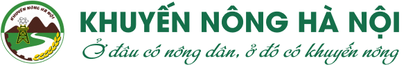 Khuyến nông Hà Nội