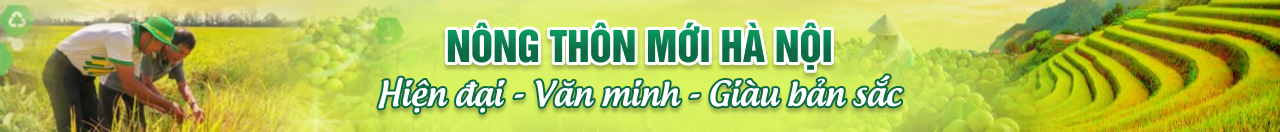 Nông thôn mới Hà Nội - Hiện đại, văn minh, giàu bản sắc